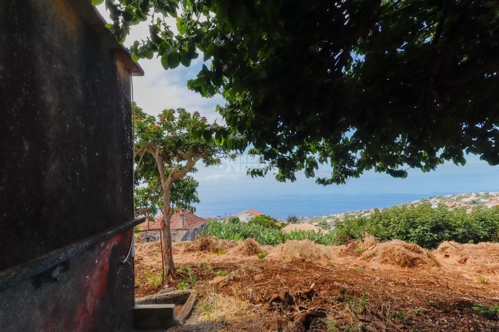 Terreno Excecional para Novo Projeto ou Recuperação